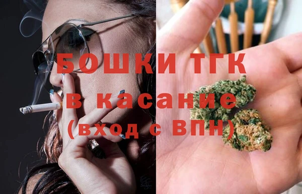твердый Алексин