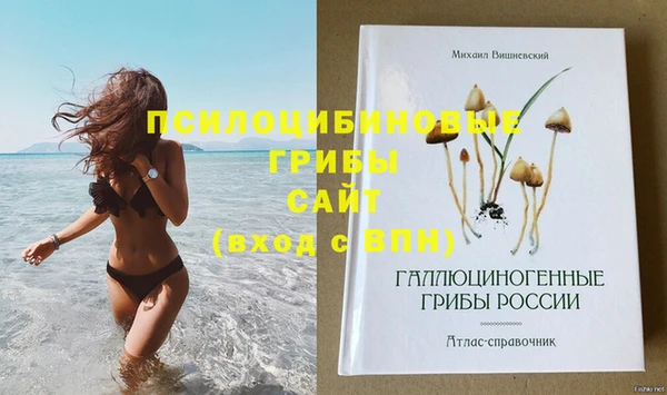 твердый Алексин
