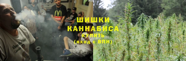 мдпв Надым