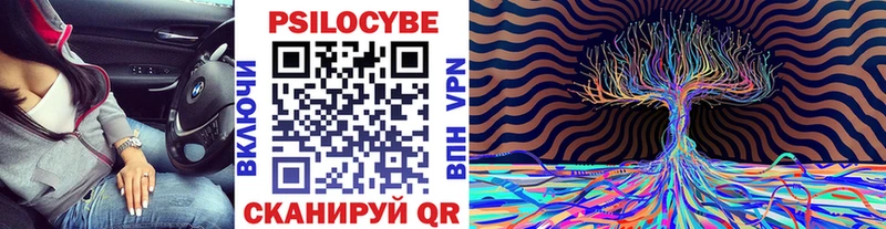 Галлюциногенные грибы мицелий  Суджа 